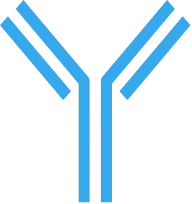 antibody icon